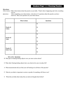 Observations and Questions Worksheet