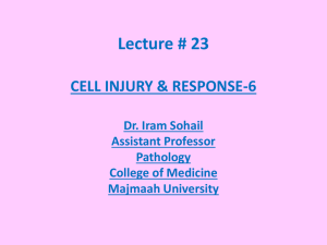 cell injury & response - 6