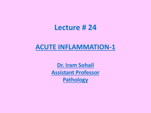 acute inflammation - 1