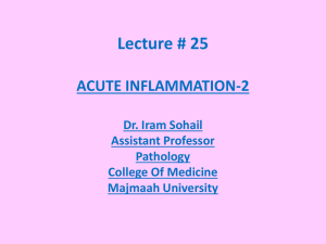 acute inflammation -2