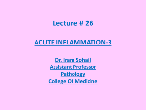 Acute inflammatio - 3
