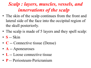 SCALP & FACE ANATOMY LECTURE-1- FOR 1ST YEAR