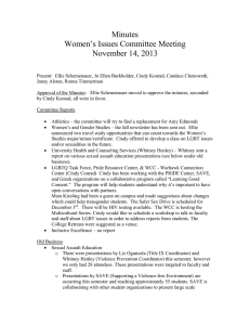 Minutes Women’s Issues Committee Meeting November 14, 2013