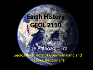 The Carboniferous and Permian Periods II