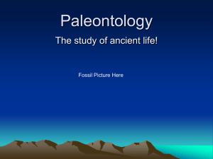 Paleontology Powerpoint: