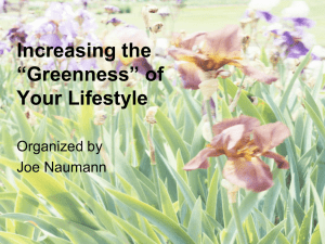 Increasing the greenness in your lifestyle