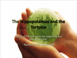 The Hippo and the Tortise