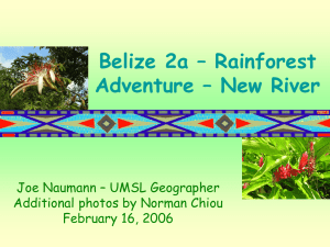 Belize 2a - Rainforest Adventure New River