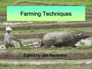 Farming Techniques