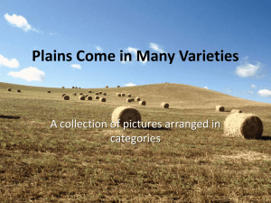 Plains Come in Many Varieties