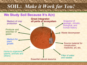Make it Work for You: Soil