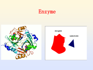 Lecture 4 & 5. Enzymes