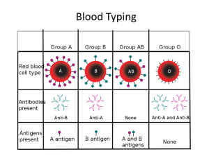 Lab. Blood Typing