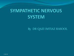 PPT SYMPATHETIC SYSTEM FOR HUMAN BODY MODULE BY DR QAZI