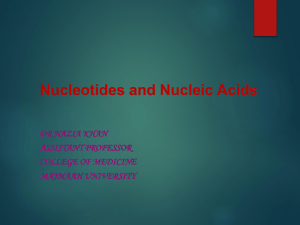 Nucleotides and Nucleic Acids DR NAZIA KHAN ASSISTANT PROFESSOR COLLEGE OF MEDICINE