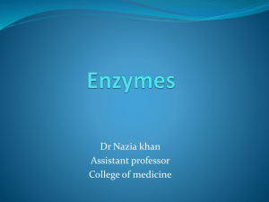 lecture enzymes