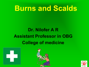 Burns and Scalds Dr. Nilofer A R Assistant Professor in OBG