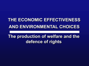 THE ECONOMIC EFFECTIVENESS AND ENVIRONMENTAL CHOICES The production of welfare and the