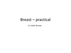 Breast – practical Dr: Salah Ahmed