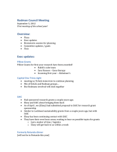 Rodman Council Meeting Overview: