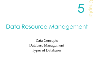 5 Data Resource Management Chap ter