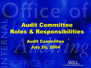 Audit Committee Roles and Responsibilities