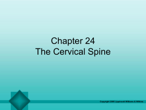 The Cervical Spine