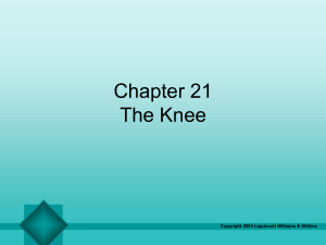 Knee joint