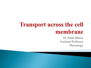 transport across cell membrane