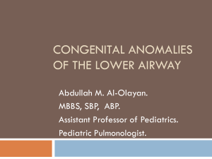 Congenital Anomalies of the Lower Airway