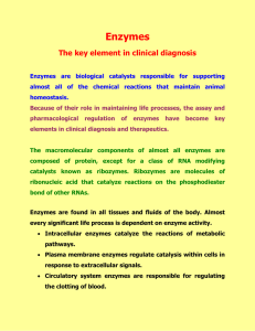 Enzymes  The key element in clinical diagnosis