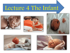 Lecture 4 The Infant