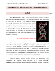 Part II - Fundamentals of Nucleic Acids and Protein Biochemistry.doc
