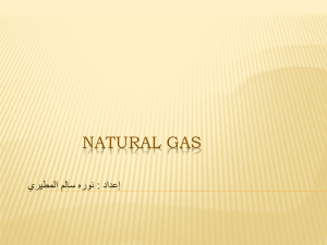 NATURAL GAS دادعإ : ملاس هرون