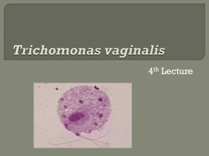Parasitology 4th lecture