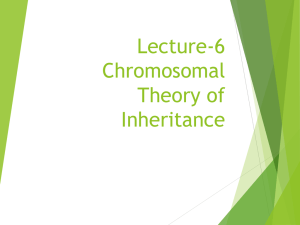EMBRYOLOGY LECTURE. HUMN110. CHROMOSOMAL THEORY OF INHERITANCE