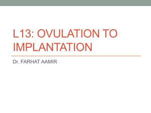 Embryology lecture HUMN110. Ovulation to Implantation
