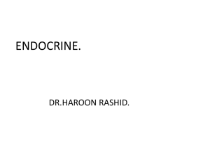 ENDOCRINE 1