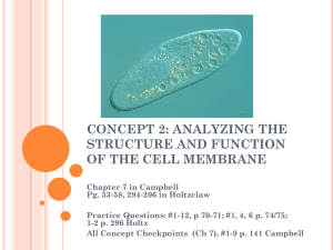 CONCEPT 2: ANALYZING THE STRUCTURE AND FUNCTION OF THE CELL MEMBRANE