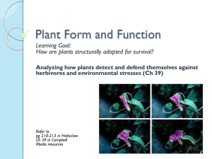 Plant Form and Function Learning Goal: