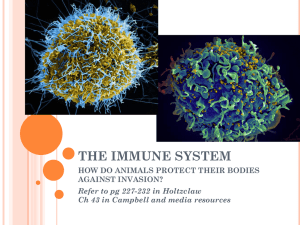 THE IMMUNE SYSTEM HOW DO ANIMALS PROTECT THEIR BODIES AGAINST INVASION?