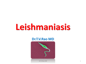 Leishmaniasis Dr.T.V.Rao MD 1