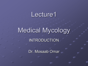 Lecture1 Medical Mycology INTRODUCTION Dr. Mosaab Omar
