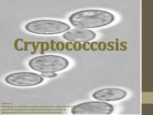 Cryptococcosis