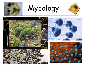 Mycology