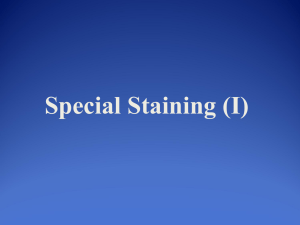 Special Staining (I)