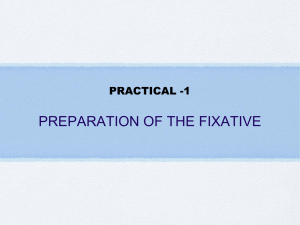 PREPARATION OF THE FIXATIVE PRACTICAL -1