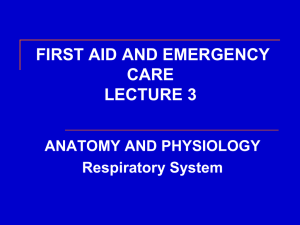 FIRST AID AND EMERGENCY CARE LECTURE 3 ANATOMY AND PHYSIOLOGY