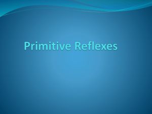 Primitive reflexes