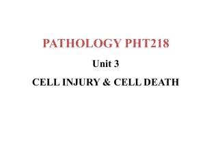 PATHOLOGY PHT218 Unit 3 CELL INJURY &amp; CELL DEATH